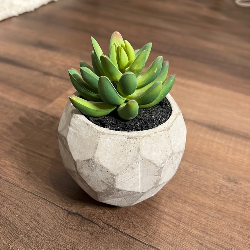 Cute, faux succulent/plant decor!